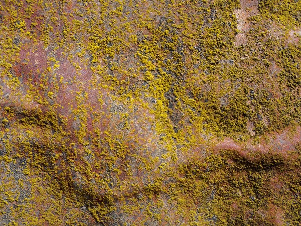 Overhead view of weathered metal