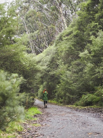 Australia, New South Wales, Katoomba, Rear view of woman walking along empty road in forest