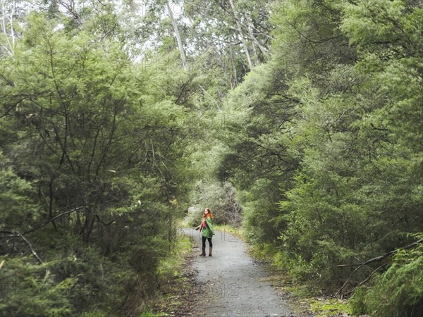 Australia, New South Wales, Katoomba, Young woman walking along empty road in forest