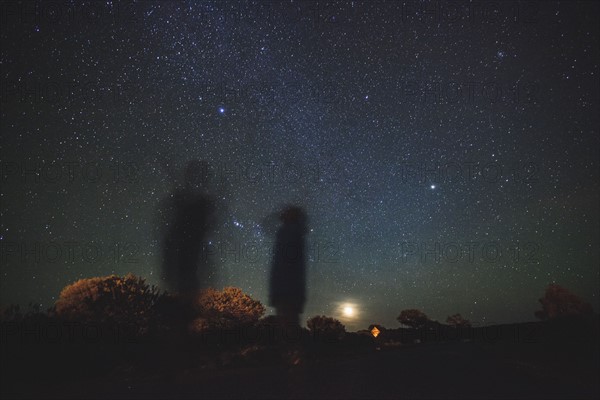 Australia, Outback, Northern Territory, Red Centre, West Macdonnel Ranges, Kings Canyon, Trees in plain on starry night