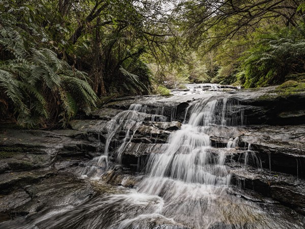 Australia, New South Wales, Blue Mountains National Park, Leura Cascades, Waterfall in forest