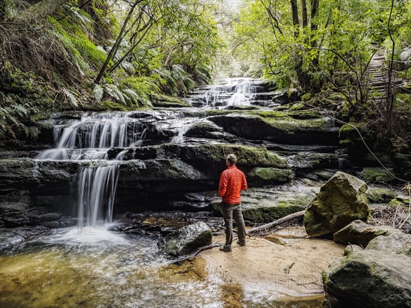 Australia, New South Wales, Blue Mountains National Park, Leura Cascades, Young man standing by waterfall in forest