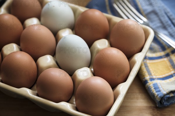 Chicken eggs in carton.