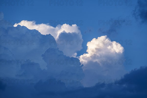 Cumulus clouds on sky.