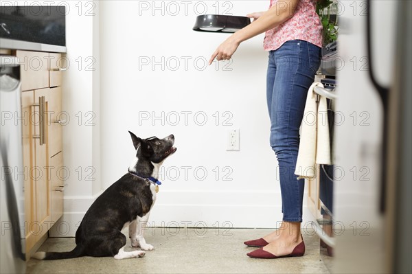 Woman feeding dog in kitchen.