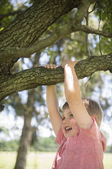 USA, Pennsylvania, Washington Crossing, Boy (4-5) hanging on branch