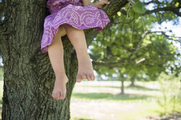 USA, Pennsylvania, Washington Crossing, Girl (2-3) climbing on tree