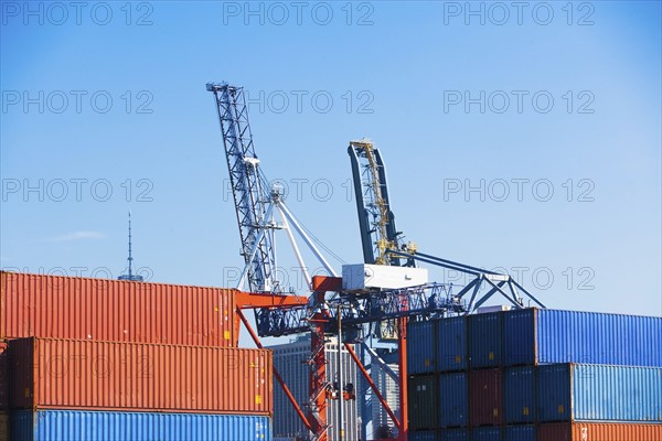 Commercial dock and container cranes