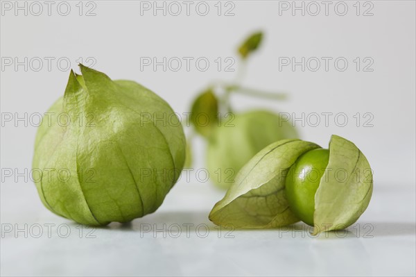 Tomatillos captured in studio