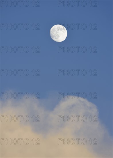 Full moon on blue sky