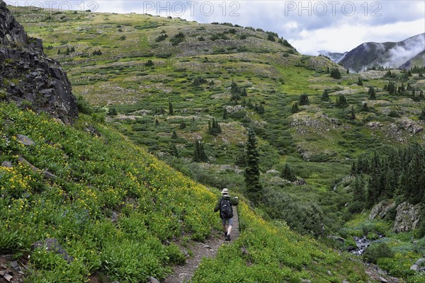 USA, Colorado, Man walking down mountains in San Juan National Forest