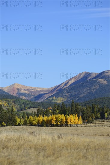 USA, Colorado, Kenosha Pass in fall