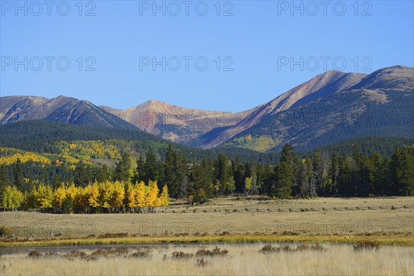 USA, Colorado, Kenosha Pass in fall