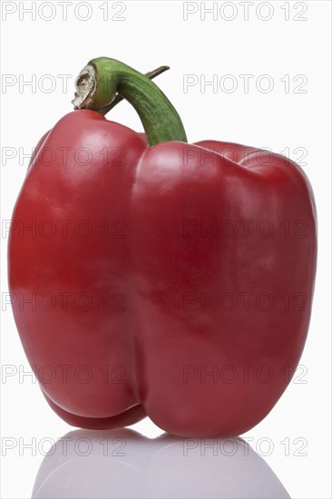 Red pepper against white background