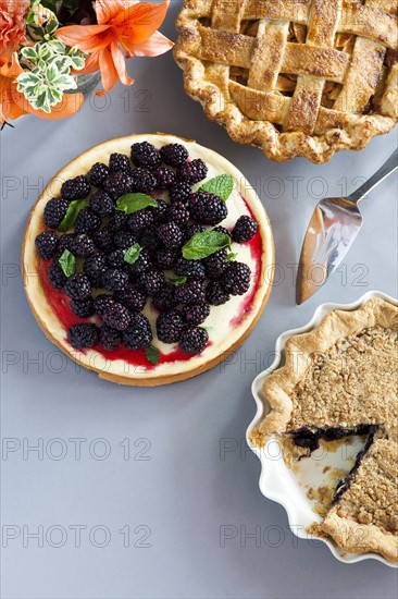 Blueberry cake and blueberries on plate