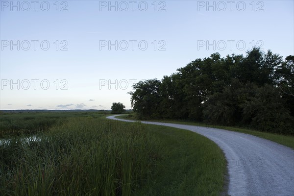 Country road under clear sky