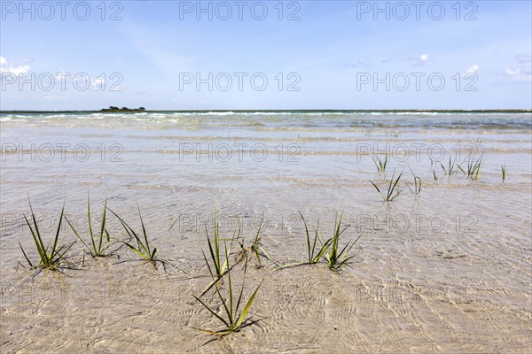 Beautiful ocean landscape