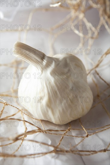 Garlic bulb