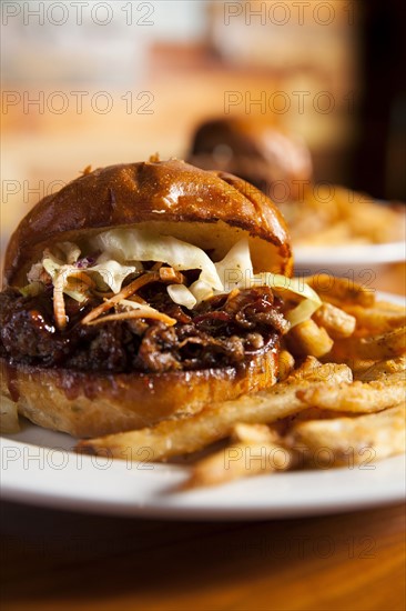 Barbecue sandwich witch coleslaw and french fries
