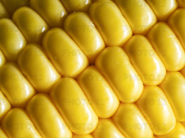 Close up of corn