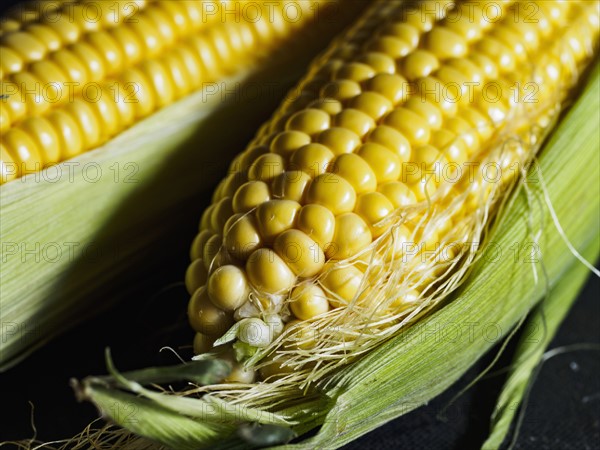 Close up of corn