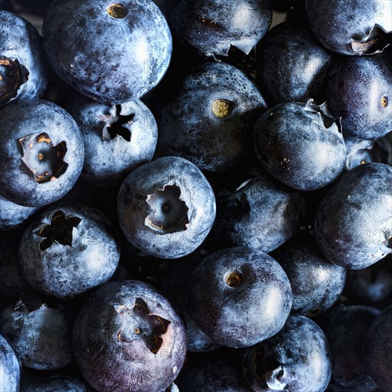 Ripe blueberries