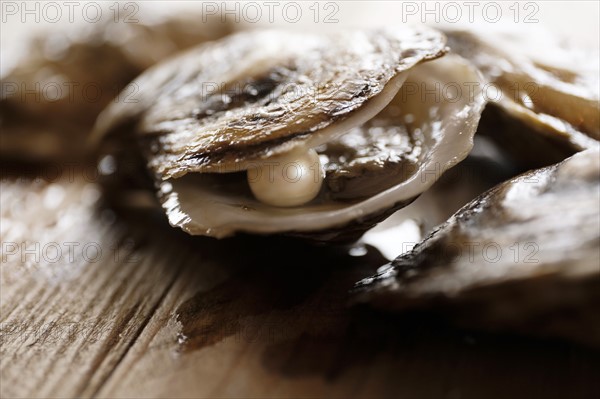 Pearl inside oyster shell.