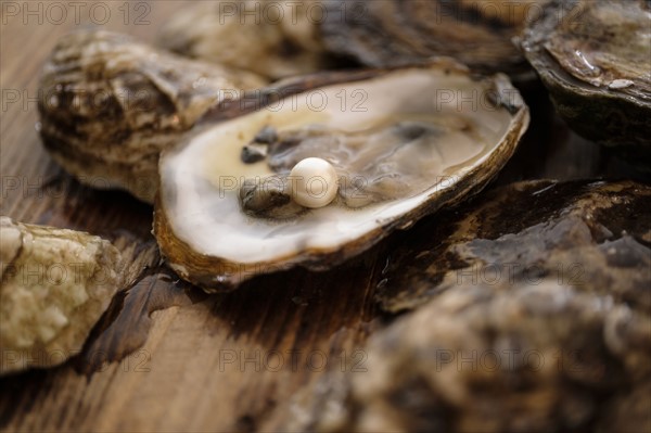 Pearl inside oyster shell.