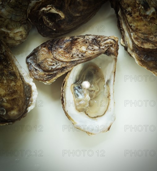 Pearl inside oyster shell.