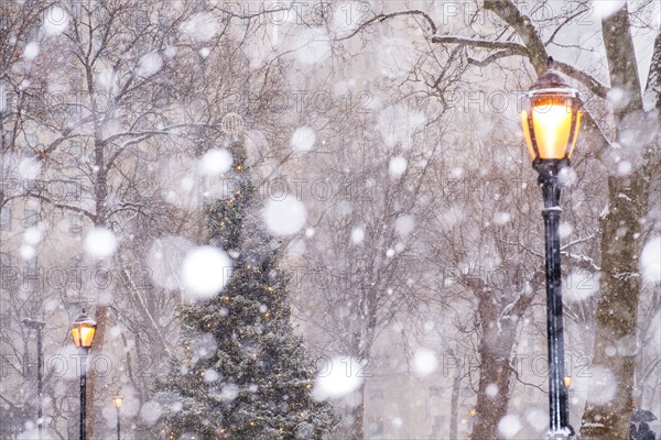 USA, New York State, New York City, Madison Square Park in snow.