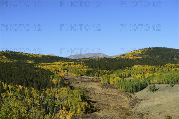 USA, Colorado, Scenic view of Kenosha Pass