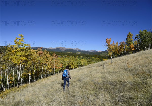 USA, Colorado, Hiker at Kenosha Pass