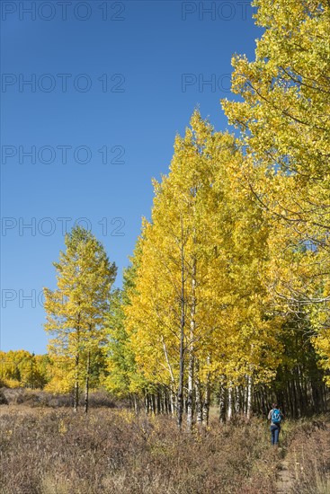 USA, Colorado, Hiker at Kenosha Pass