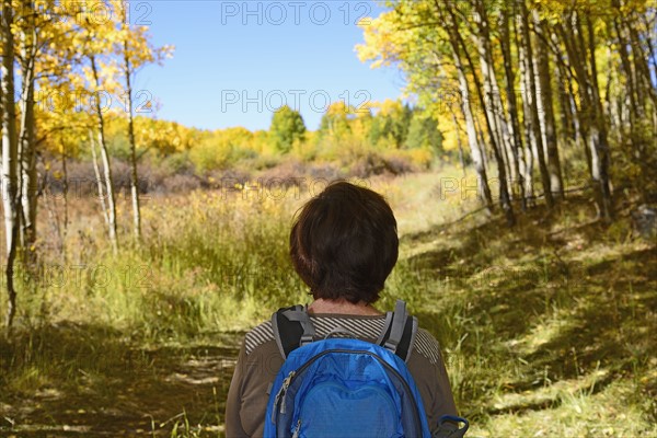 USA, Colorado, Rear view of hiker at Kenosha Pass