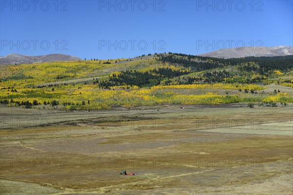 USA, Colorado, Scenic view of Kenosha Pass on sunny day