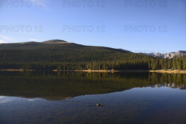 USA, Colorado, Mount Evans and forest reflecting in Echo Lake