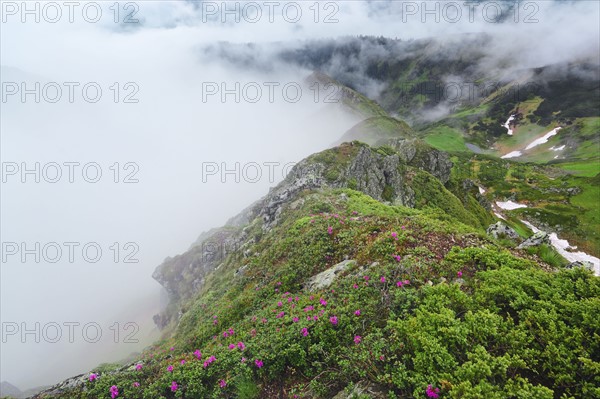 Ukraine, Zakarpattia, Rakhiv district, Carpathians, Maramures, Mountain landscape