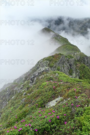 Ukraine, Zakarpattia, Rakhiv district, Carpathians, Maramures, Mountain landscape