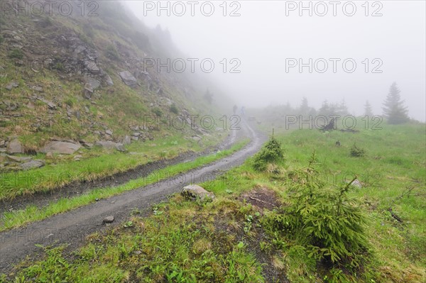 Ukraine, Zakarpattia, Rakhiv district, Carpathians, Maramures, Hiking trail in rolling landscape