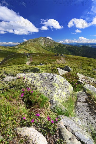 Ukraine, Ivano-Frankivsk region, Verkhovyna district, Carpathians, Chernohora, Mountain landscape on sunny day