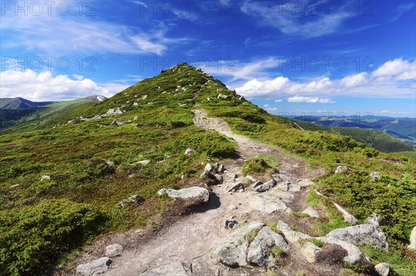 Ukraine, Ivano-Frankivsk region, Verkhovyna district, Carpathians, Chernohora, Mountain landscape on sunny day