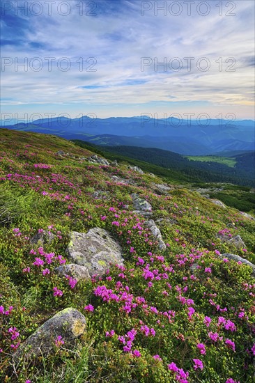 Ukraine, Ivano-Frankivsk region, Verkhovyna district, Carpathians, Chernohora, Mountain landscape on sunny day