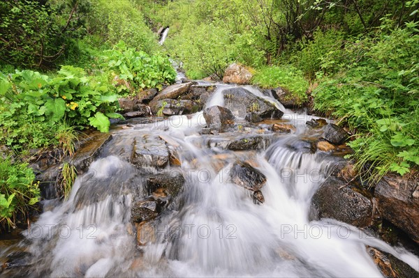 Ukraine, Ivano-Frankivsk region, Verkhovyna district, Carpathians, Dzembronskie waterfalls