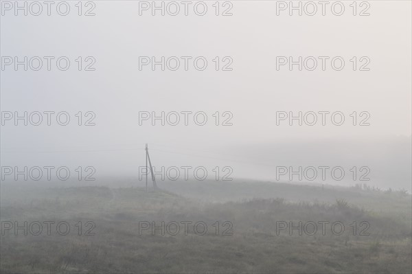 Ukraine, Dnepropetrovsk region, Novomoskovsk district, Electricity pylon standing in foggy field