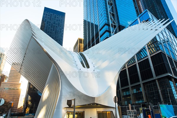 USA New York, New York City, Glass skyscrapers and modern roof