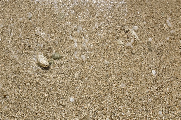 Puerto Rico, Coco Beach, Sand with stones and shells
