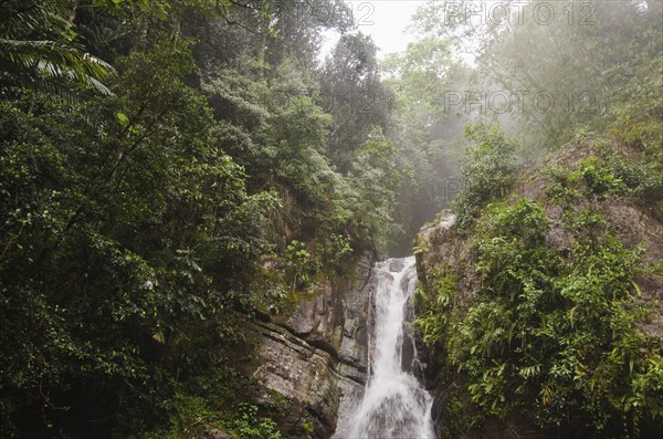 Puerto Rico,  El Yunque National Forest, La Mina Falls in forest