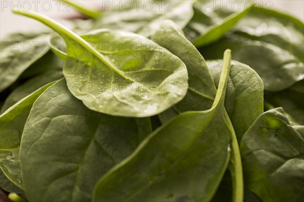 Close-up of spinach leaves