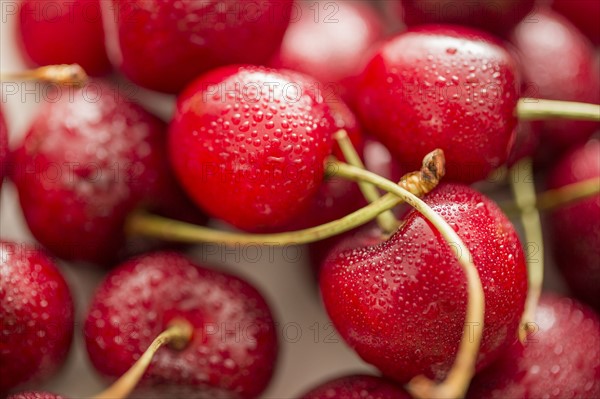 Close-up of red cherries