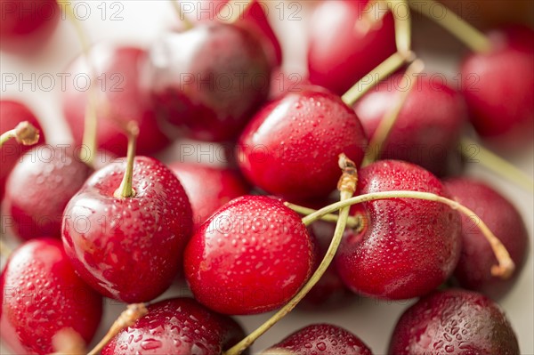 Close-up of red cherries